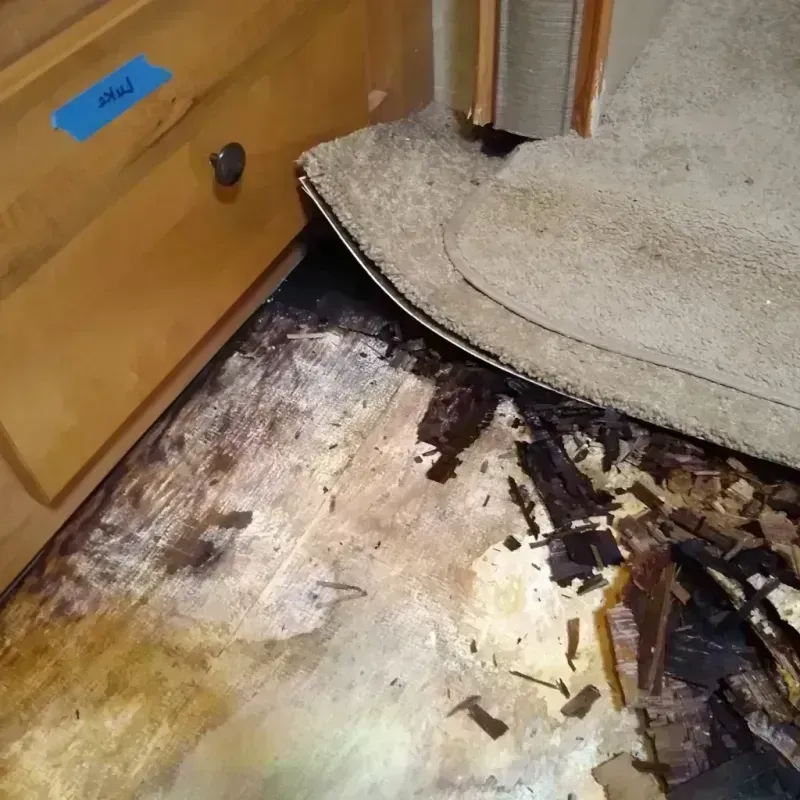 Best Wood Floor Water Damage Service in Cedarhurst, NY